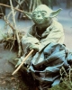 avatar of Master Yoda