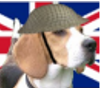avatar of beagletank