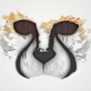 avatar of Senseo1990