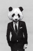 avatar of PandaFausts