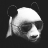 avatar of WafflePanda