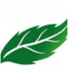 avatar of greenlab