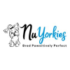 avatar of YorkiePuppiesforSale