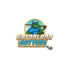 avatar of gatorlandgutters