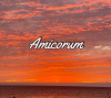 avatar of Amicorum_CA
