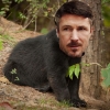 avatar of Petyr Bearlish