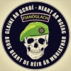 avatar of Fianoglach_Airm