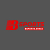 avatar of bsportsspace