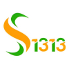 avatar of Solutions 1313