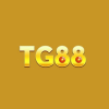 avatar of tg88comhost