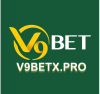 avatar of v9betppcom