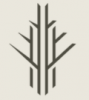 avatar of woodenfloorings