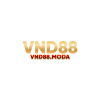 avatar of vnd88moda