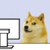 avatar of DogeForTheW