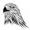 avatar of WhiteHawk