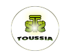 avatar of TOUSSIA