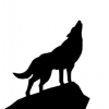 avatar of fikkerwolf