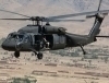 avatar of Black Hawk