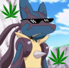 avatar of Lewka