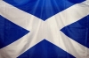 avatar of Scottishtroop