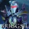 avatar of Briggsil