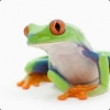 avatar of RedEyedFrog