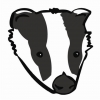 avatar of TopBadger